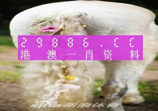 澳门一肖一特一码一中-2027释义解释落实