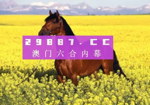 新粤门六舍彩资料正版，词语释义解释落实的重要性与价值