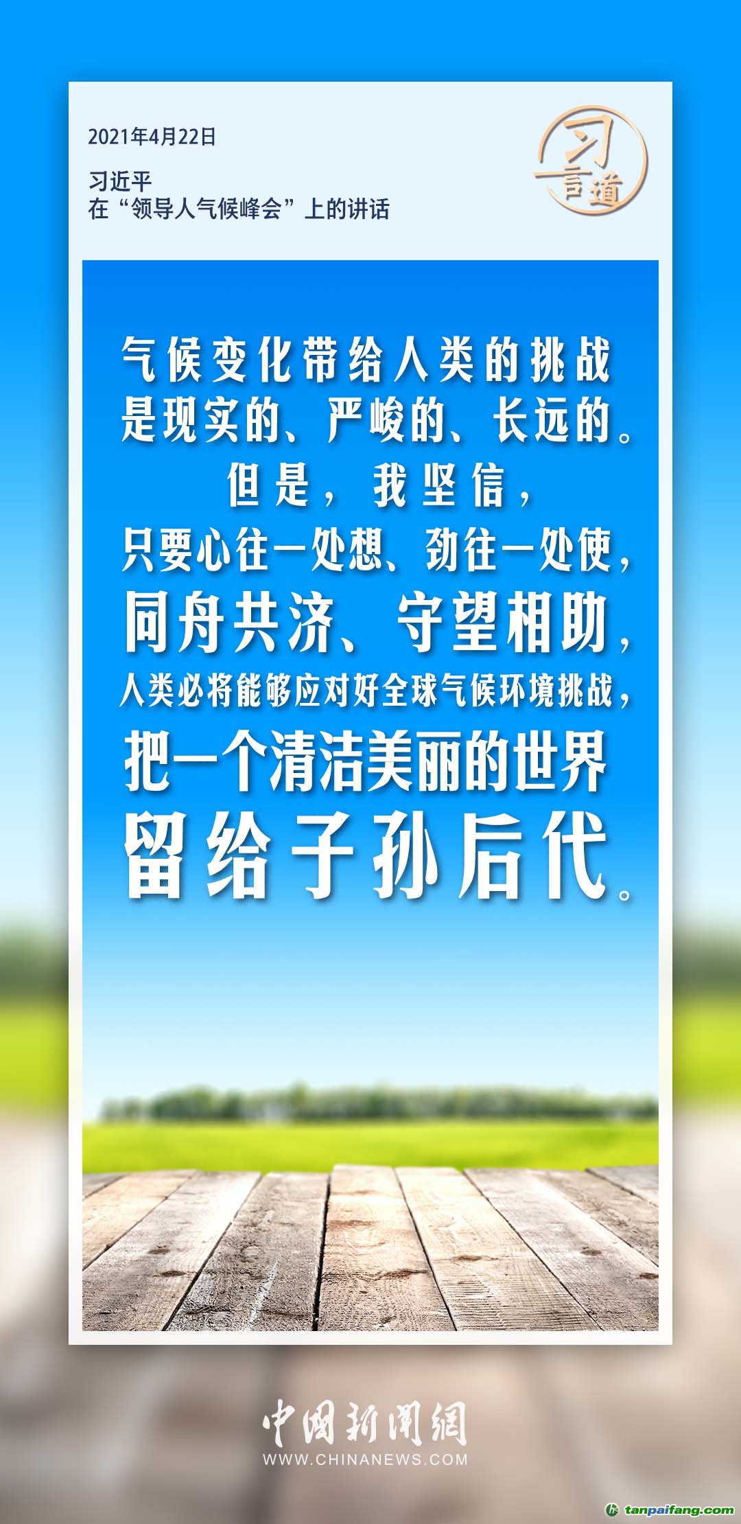 蝗灾最新报道，全球面临的严重挑战与应对策略