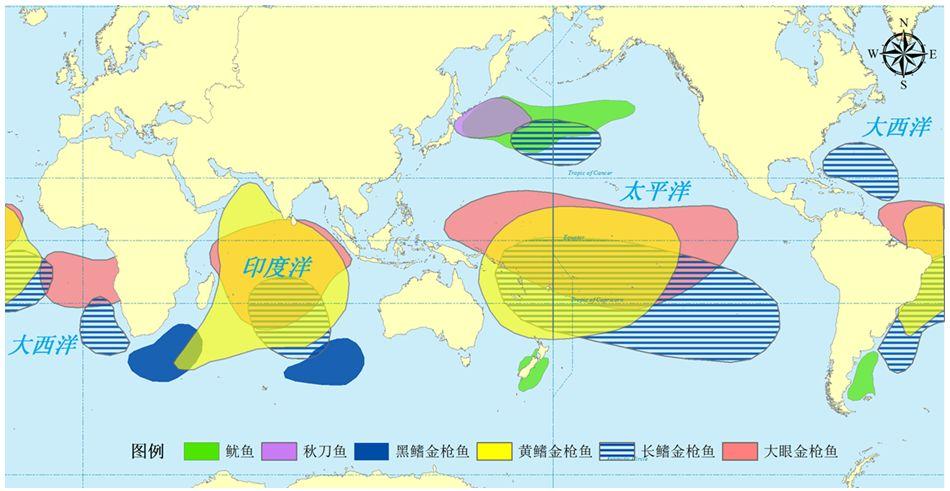 岛国视频最新动态，探索前沿内容与独特魅力