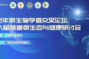 最新研究揭示臭氧的奥秘与挑战