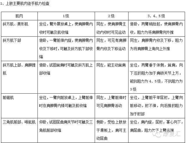 最新券商等级，评估与解析