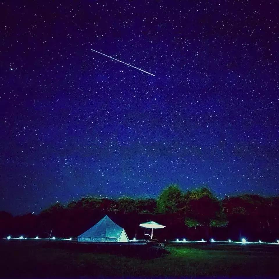 最新台风森的影响与应对之策