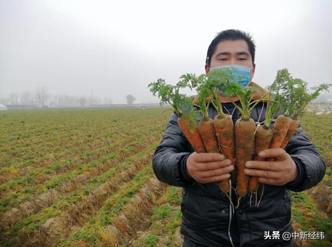 萧县疫情最新动态与防控措施