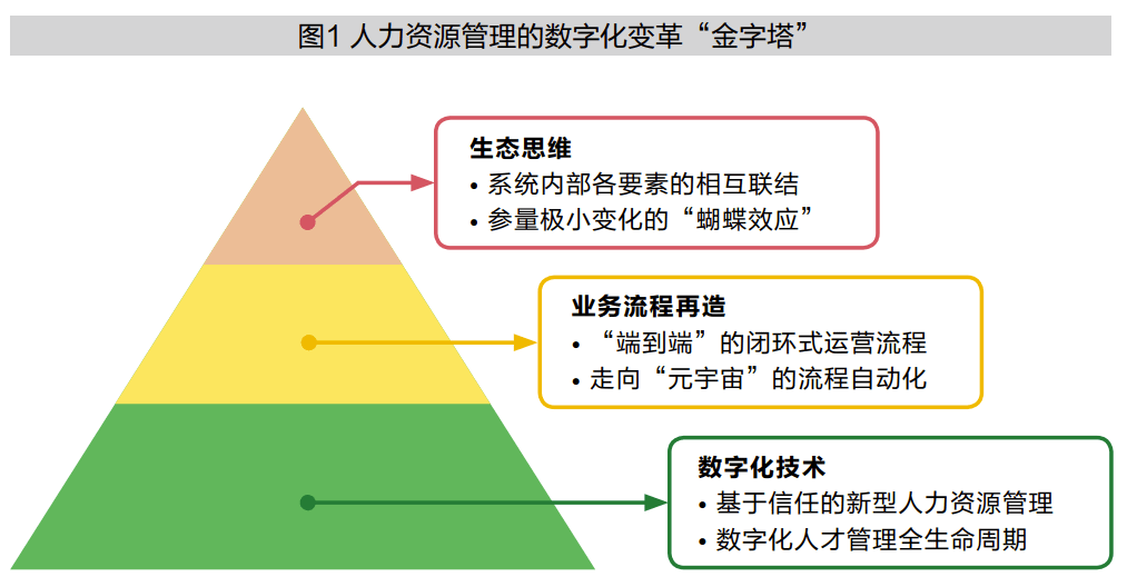 最新空军涂装，技术革新与战略转型的象征