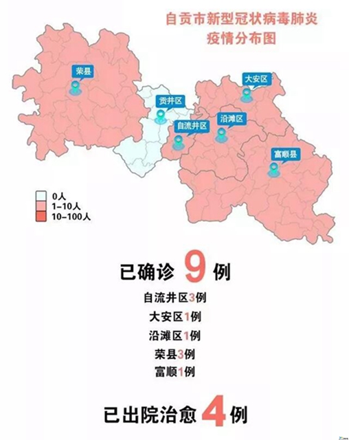 自贡市最新病例报告及分析