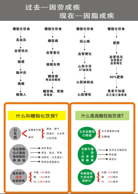 最新吃奶法，探索婴儿营养与健康的新理念